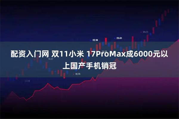配资入门网 双11小米 17ProMax成6000元以上国产手机销冠